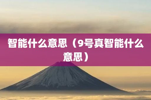 智能什么意思（9号真智能什么意思）