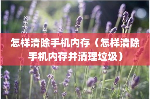 怎样清除手机内存（怎样清除手机内存并清理垃圾）