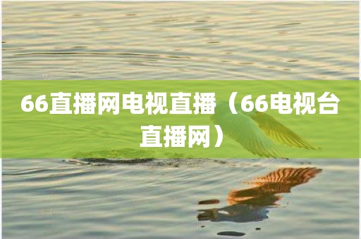 66直播网电视直播（66电视台直播网）