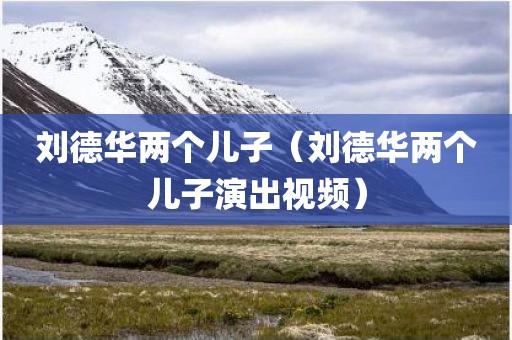 刘德华两个儿子(刘德华两个儿子演出视频)