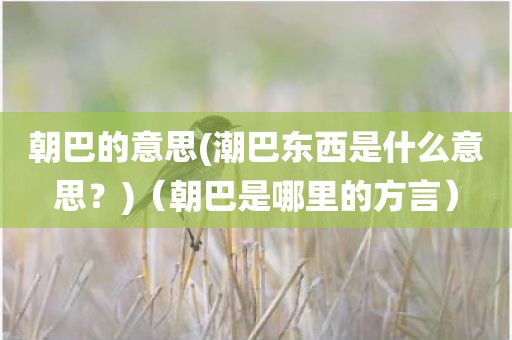 朝巴的意思(潮巴东西是什么意思？)（朝巴是哪里的方言）