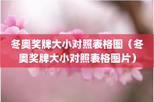 冬奥奖牌大小对照表格图（冬奥奖牌大小对照表格图片）