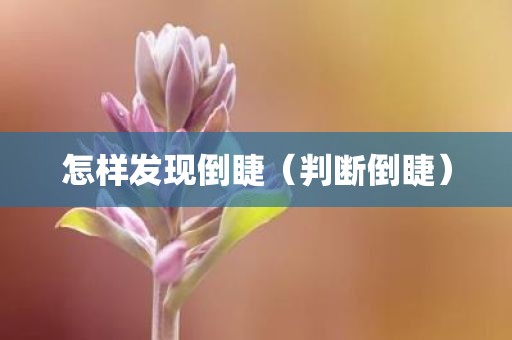 怎样发现倒睫（判断倒睫）
