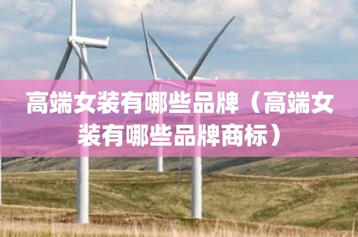高端女装有哪些品牌（高端女装有哪些品牌商标）