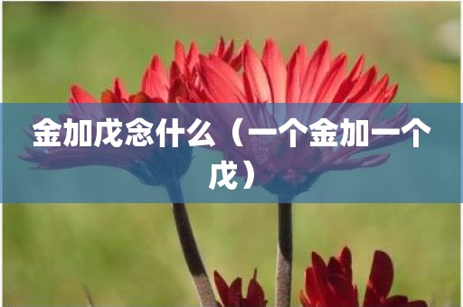金加戊念什么（一个金加一个戊）