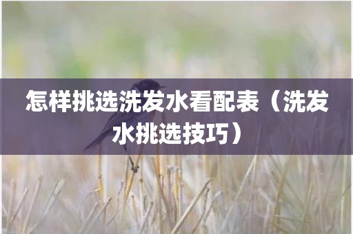 怎样挑选洗发水看配表（洗发水挑选技巧）
