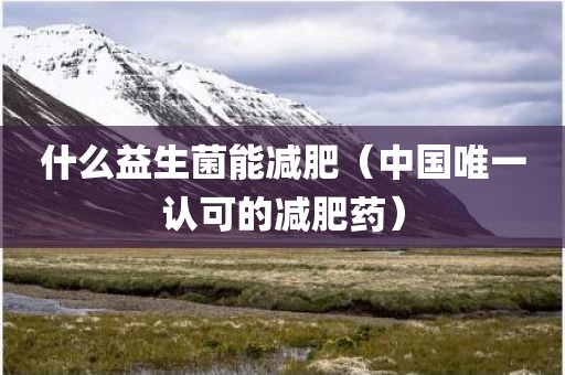 什么益生菌能减肥（中国唯一认可的减肥药）