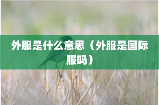 外服是什么意思（外服是国际服吗）