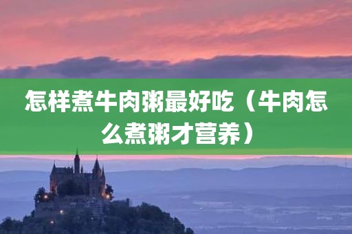 怎样煮牛肉粥最好吃（牛肉怎么煮粥才营养）