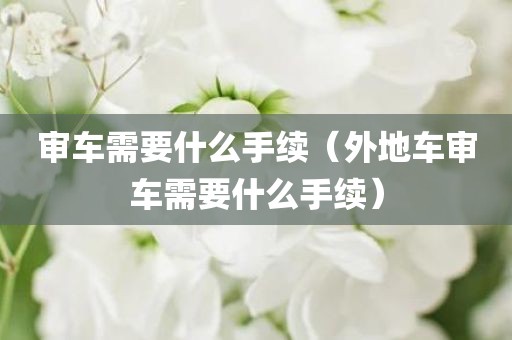 审车需要什么手续（外地车审车需要什么手续）