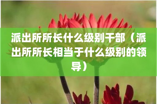 派出所所长什么级别干部（派出所所长相当于什么级别的领导）