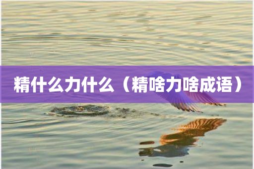 精什么力什么（精啥力啥成语）