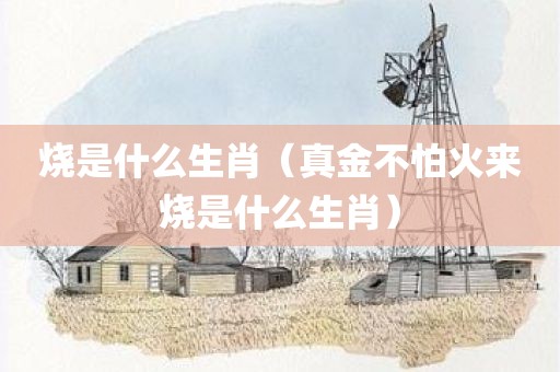 烧是什么生肖（真金不怕火来烧是什么生肖）