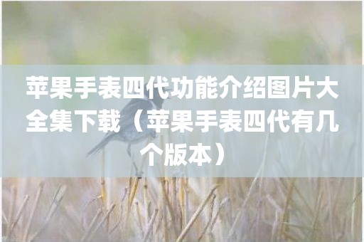 苹果手表四代功能介绍图片大全集下载（苹果手表四代有几个版本）