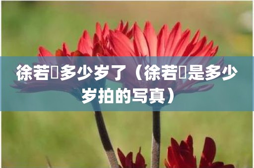 徐若瑄多少岁了（徐若瑄是多少岁拍的写真）