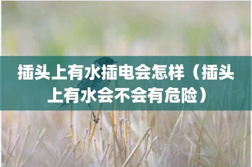 插头上有水插电会怎样（插头上有水会不会有危险）