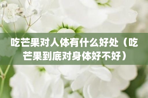 吃芒果对人体有什么好处(吃芒果到底对身体好不好)