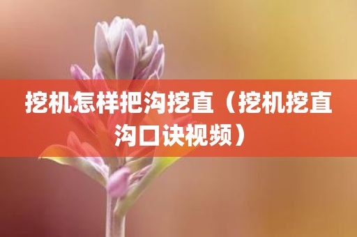 挖机怎样把沟挖直（挖机挖直沟口诀视频）