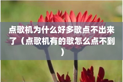 点歌机为什么好多歌点不出来了（点歌机有的歌怎么点不到）