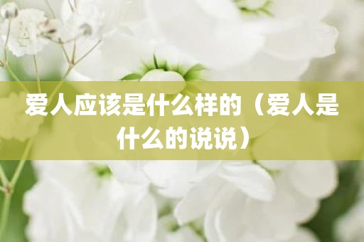 爱人应该是什么样的（爱人是什么的说说）