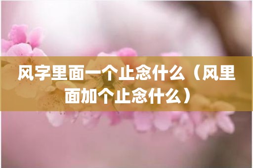 风字里面一个止念什么（风里面加个止念什么）