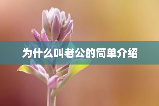 为什么叫老公的简单介绍