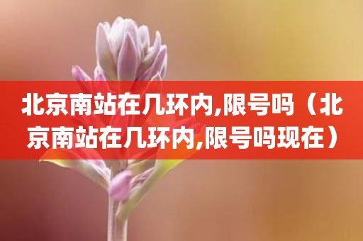 北京南站在几环内,限号吗（北京南站在几环内,限号吗现在）