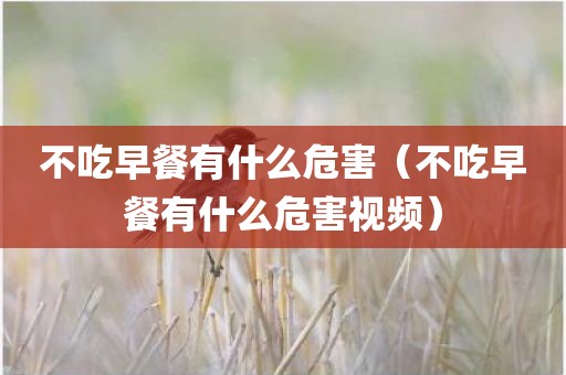 不吃早餐有什么危害（不吃早餐有什么危害视频）