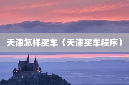 天津怎样买车（天津买车程序）