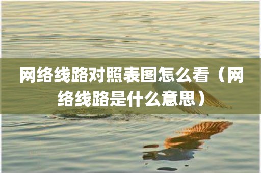 网络线路对照表图怎么看（网络线路是什么意思）