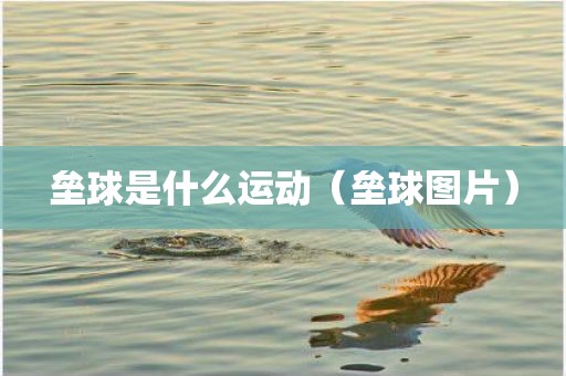 垒球是什么运动（垒球图片）