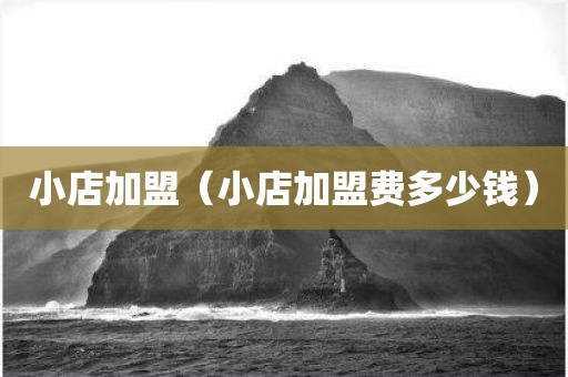 小店加盟（小店加盟费多少钱）