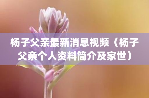 杨子父亲最新消息视频（杨子父亲个人资料简介及家世）