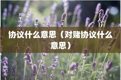 协议什么意思（对赌协议什么意思）