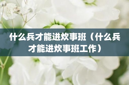 什么兵才能进炊事班（什么兵才能进炊事班工作）