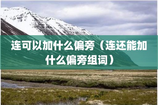 连可以加什么偏旁（连还能加什么偏旁组词）
