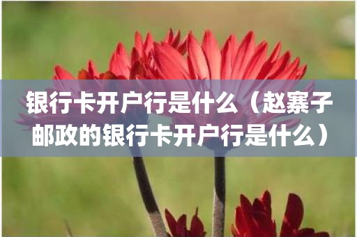 银行卡开户行是什么（赵寨子邮政的银行卡开户行是什么）