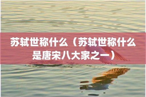苏轼世称什么（苏轼世称什么是唐宋八大家之一）