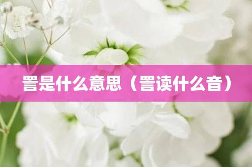 詈是什么意思（詈读什么音）