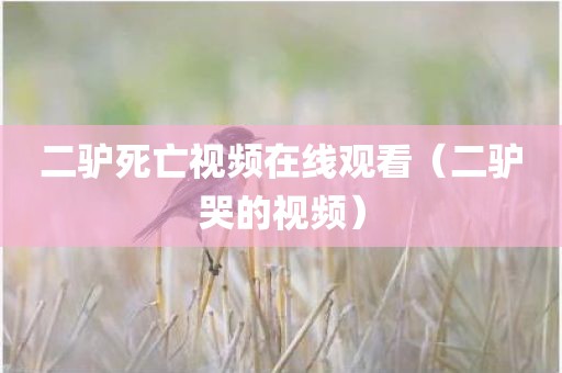 二驴死亡视频在线观看（二驴哭的视频）