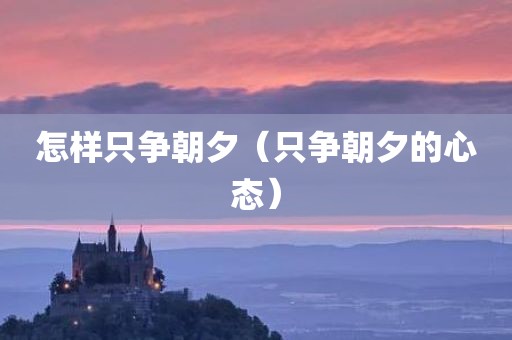 怎样只争朝夕（只争朝夕的心态）