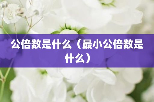 公倍数是什么（最小公倍数是什么）