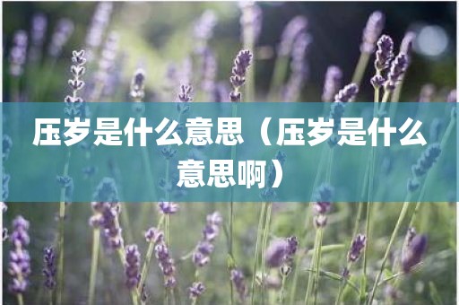 压岁是什么意思（压岁是什么意思啊）