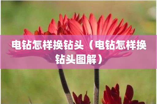 电钻怎样换钻头（电钻怎样换钻头图解）