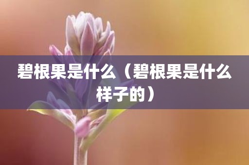 碧根果是什么（碧根果是什么样子的）