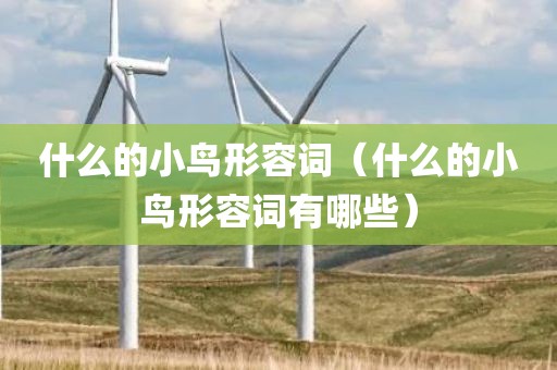 什么的小鸟形容词（什么的小鸟形容词有哪些）
