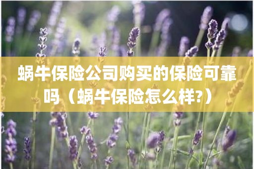 蜗牛保险公司购买的保险可靠吗（蜗牛保险怎么样?）