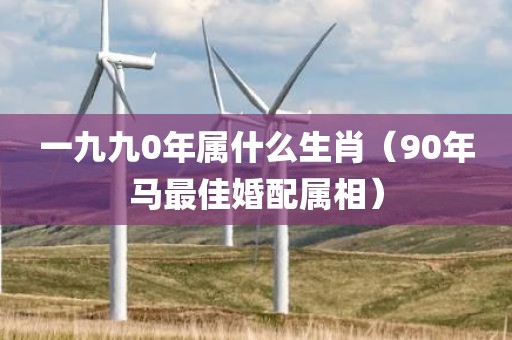 一九九0年属什么生肖（90年马最佳婚配属相）