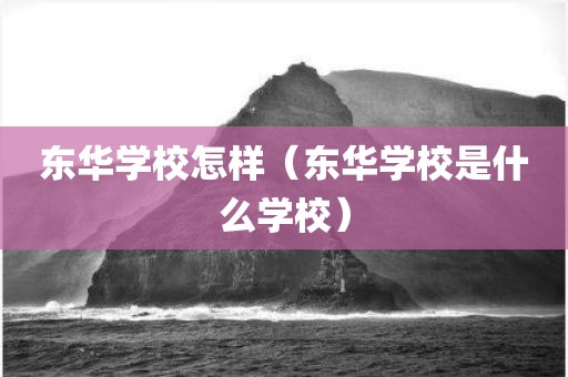 东华学校怎样（东华学校是什么学校）