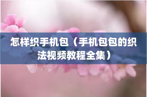 怎样织手机包（手机包包的织法视频教程全集）